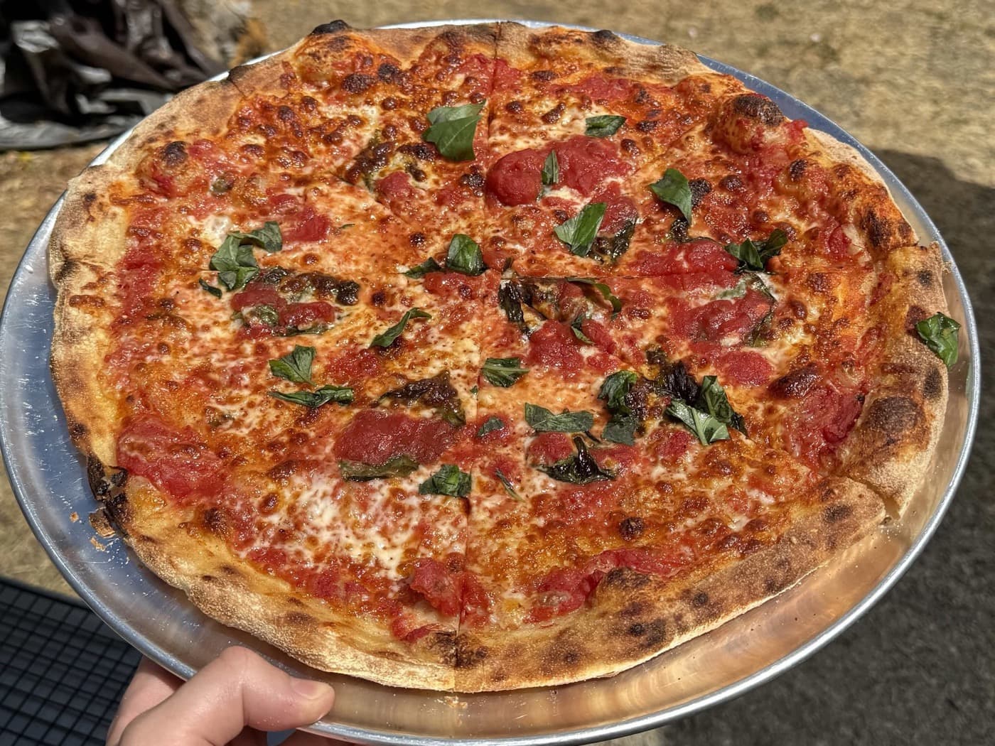 Scuf's New York Style cheese pie with basil, held up on its tray: the photo Guy Fieri commented on.